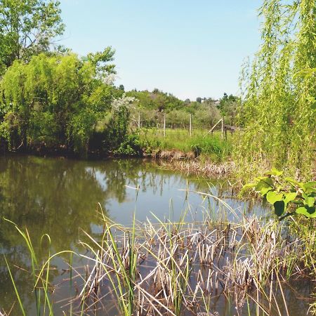 Вилла Pian Del Pigro Римини Экстерьер фото